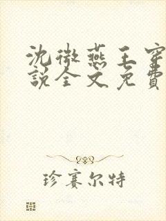 沈微燕王穿越小说全文免费阅读