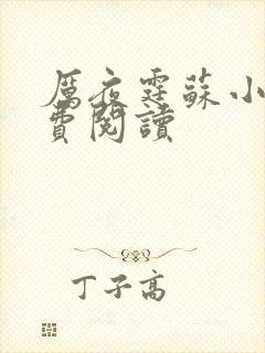 厉夜霆苏小汐免费阅读