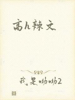 高h辣文