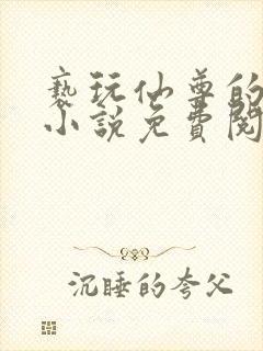 亵玩仙尊的道侣小说免费阅读