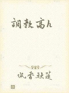 调教高h