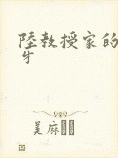 陆教授家的小月牙