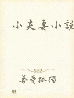 小夫妻小说