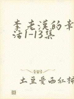 李老汉的幸福生活1-13集