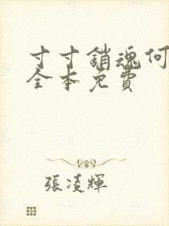 寸寸销魂何生祥全本免费