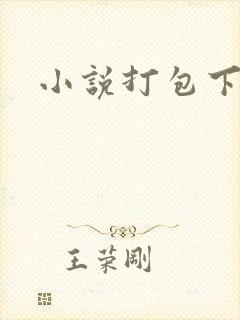 小说打包下载