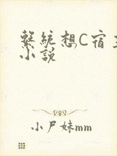 系统想C宿主的小说