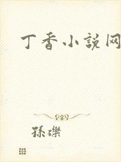 丁香小说网