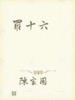 罗十六