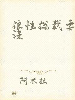 狼性总裁要够了没