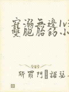 宠溺无边1v3双胞胎的小说