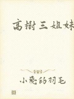 高树三姐妹小说