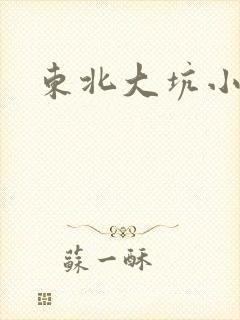 东北大坑小说