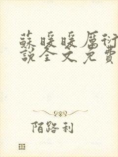 苏暖暖厉衍琛小说全文免费阅读