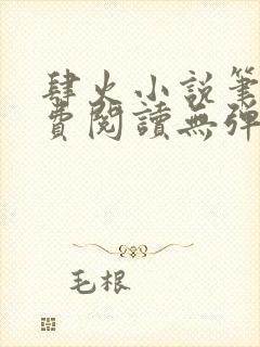 肆火小说笔趣免费阅读无弹窗