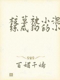 校草被小混混训练成狗的小说