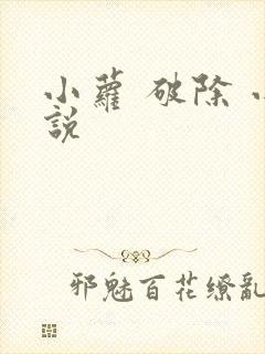 小萝 破除 小说封面