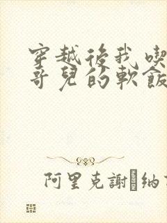 穿越后我吃到了哥儿的软饭炉山灰