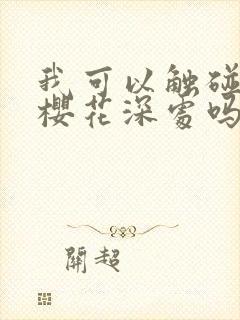 我可以触碰你的樱花深处吗