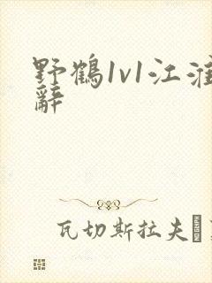 野鹤1v1江淮辞