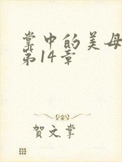 掌中的美母版主第14章