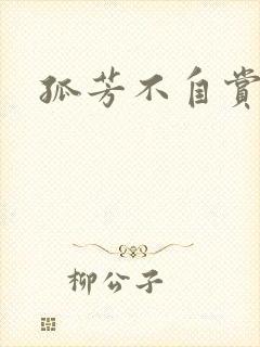 孤芳不自赏小说