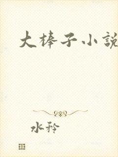 大棒子小说