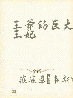 王爷的巨大进入王妃