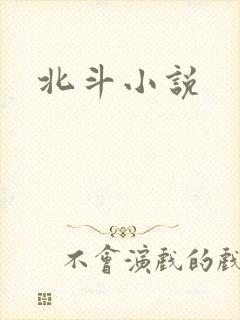 北斗小说