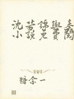 沈若锦与秦琅的小说免费阅读