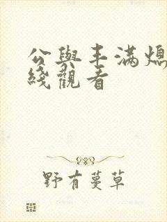 公与丰满熄4在线观看