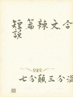 短篇辣文合集小说