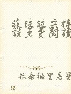 苏皎皎宋持的小说免费阅读