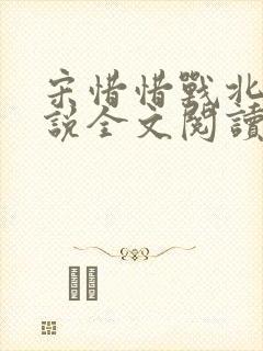 宋惜惜战北望小说全文阅读
