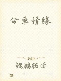 公车情缘