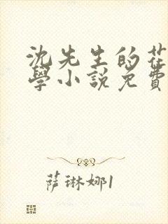 沈先生的花式教学小说免费