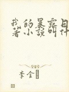 我的暴露日记原著小说叫什么