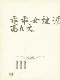 乖乖女被灌满精高h文