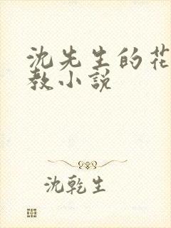 沈先生的花式调教小说