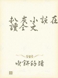 扒灰小说在线阅读全文封面