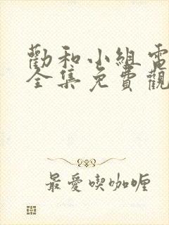 劝和小组电视剧全集免费观看