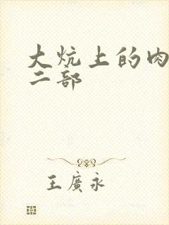 大炕上的肉伦第二部