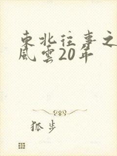 东北往事之黑道风云20年