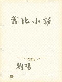 靠比小说