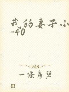 我的妻子小谨1-40