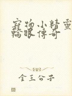 《宠物小精灵之写轮眼传奇》小说封面