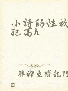 小诗的性放荡日记高h