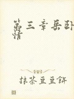 第三章岳卧室激情