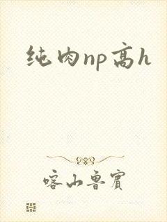 纯肉np高h