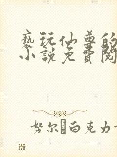 亵玩仙尊的道侣小说免费阅读